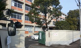 8152cc9a.jpg