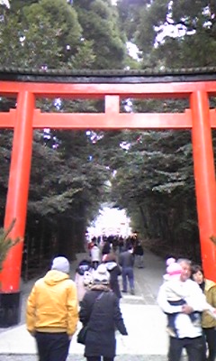 霧島神宮元旦