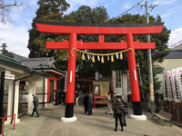 ochobo