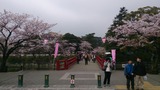 5fdff040.jpg