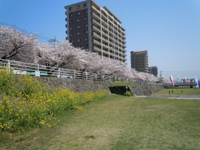 DSCN2446