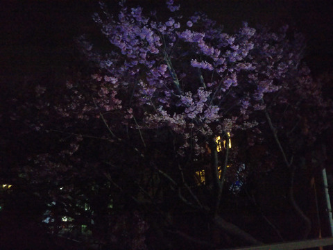 20180317_203132