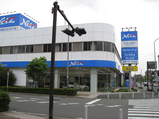 ネッツ店