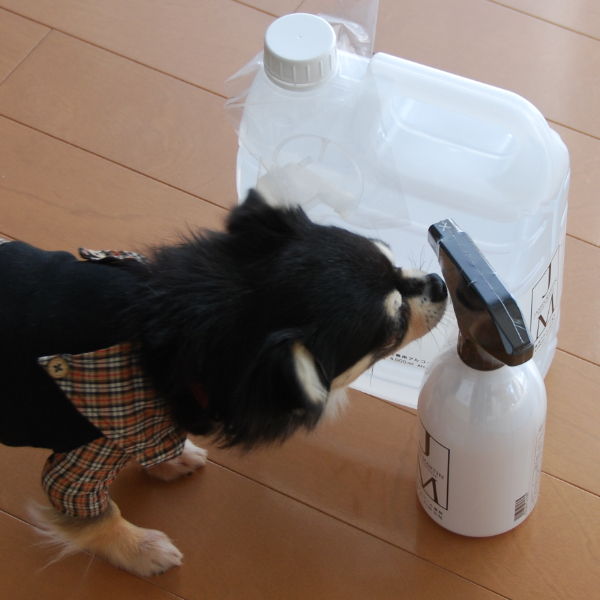 20141207_01_04.jpg