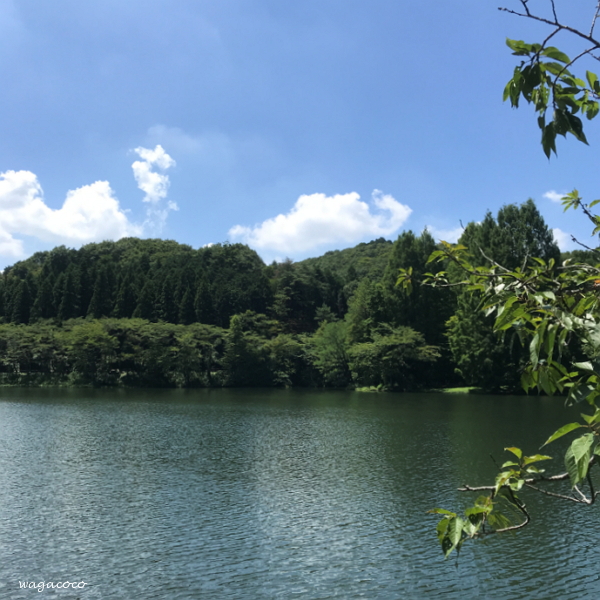 201808_070