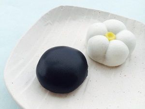 第705回 賣茶翁の生菓子『のんこう』とこなし製『菜種の里』 : 和菓子