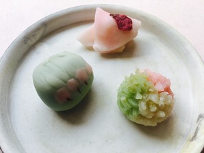 FullSizeR (16)