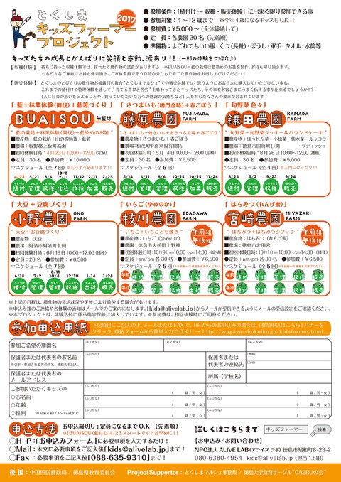 チラシ裏2017
