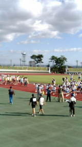 7804a3e6.jpg
