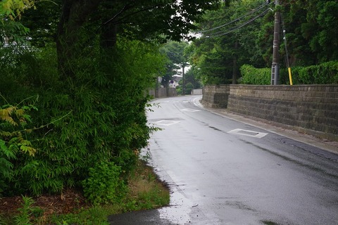 IMGP7459
