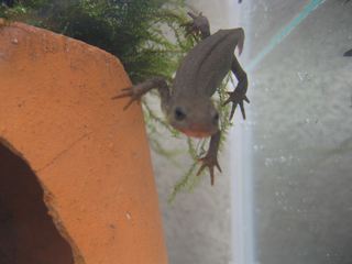 その2