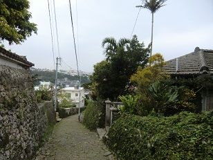 aCIMG7661