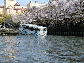 sCIMG3695