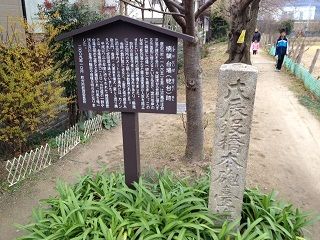 a__ˤ����