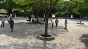 VideoC-0149 9:8:2012