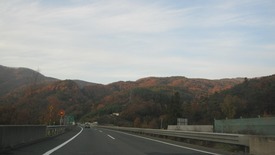 IMG_2354