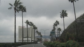 IMG_6310