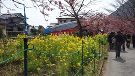 P3010875