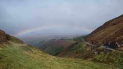 rainbow4