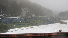 IMG_3629
