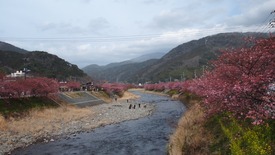 P3010863