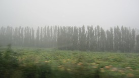 IMG_1356