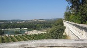 IMG_0946