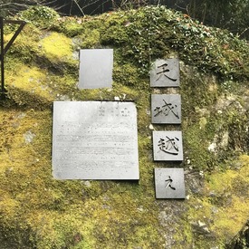 29