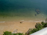 緑の海