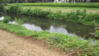 river