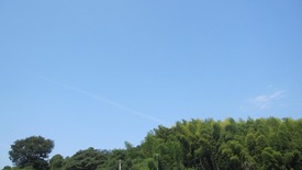 IMG_3538