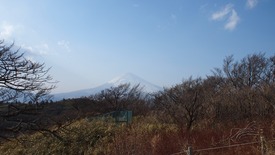 P3021165