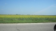 IMG_1449