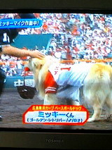 ミッキー1