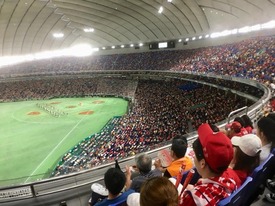 IMG_2806