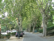 VideoC-0172 9:9:2012