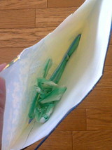 封筒内