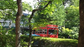 P7191414