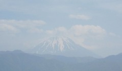 01fuji