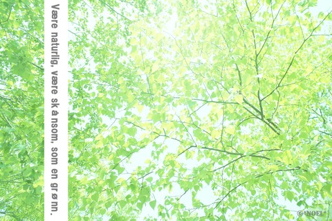 LIKE A GREEN