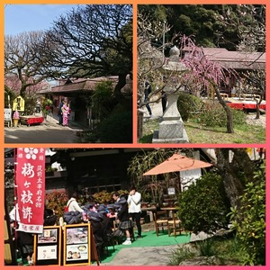 CollageMaker_20180322_210556067