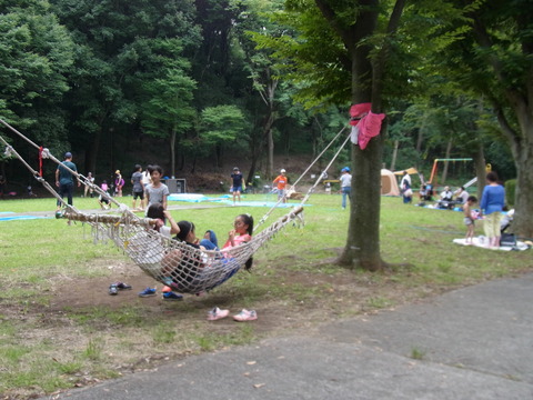 RIMG2011