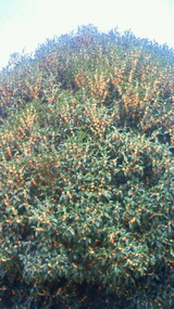 ed1cb51f.jpg