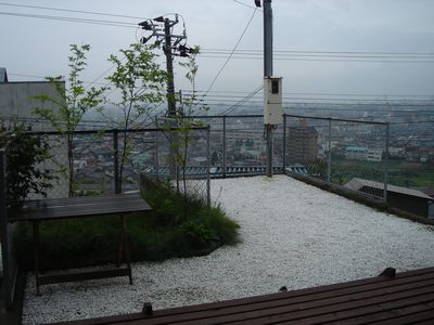 2439875c.jpg