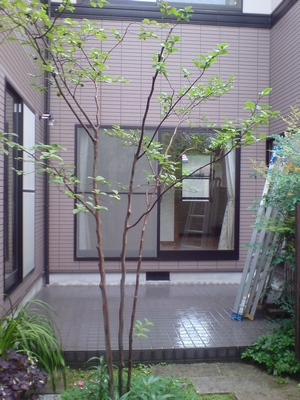296546d8.jpg