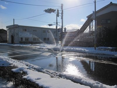IMG_8700
