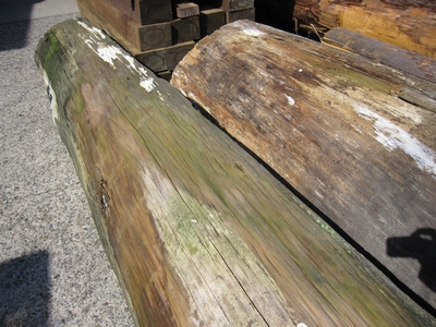 72c75584.jpg
