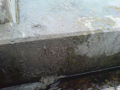 ffe05d03.jpg