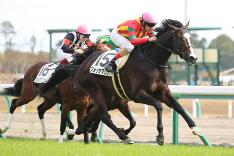 フォッサマグナ2019共同通信杯