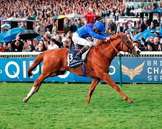 dawnapproach5-4newmarket